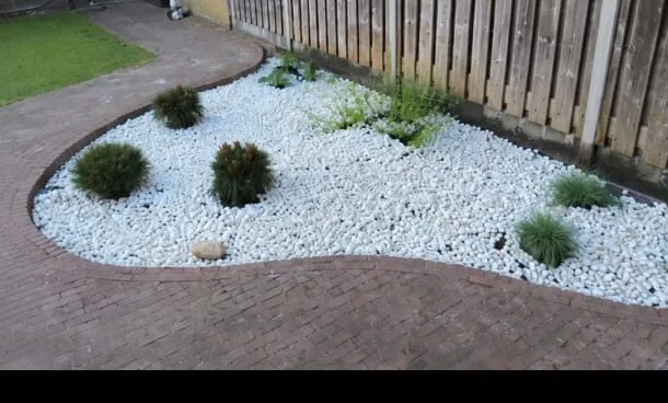 Aangelegde siertuin met wit grind en beplanting